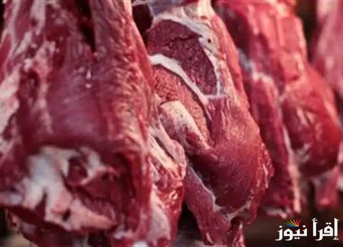 سعر كيلو اللحمة اليوم الأحد 20 أكتوبر 2024 في محلات الجزارة ومنافذ الوطنية والمجمعات الاستهلاكية