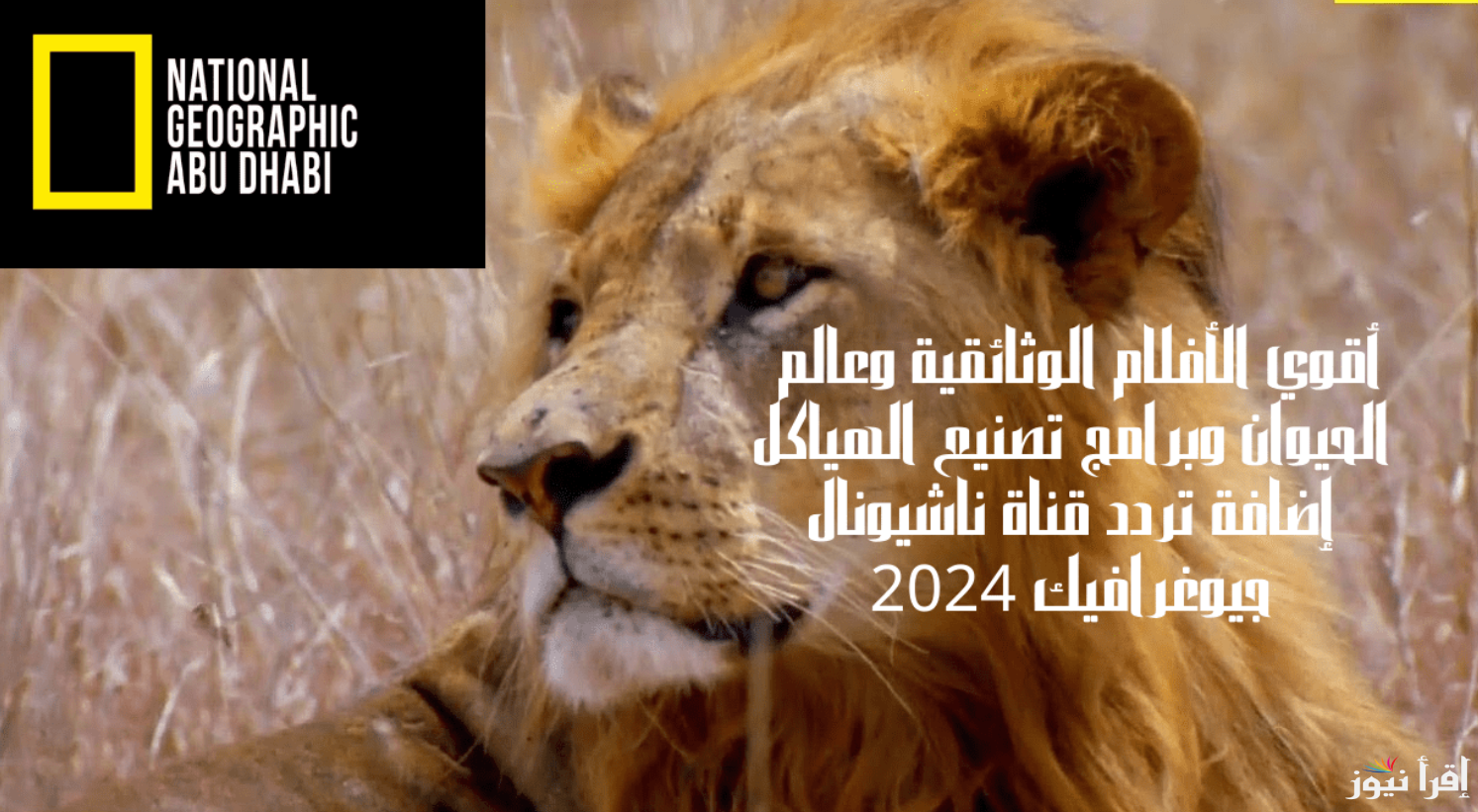تردد ناشيونال جيوغرافيك نايل سات وعرب سات بأعلى جودة HD لمتابعة الأفلام الوثائقية