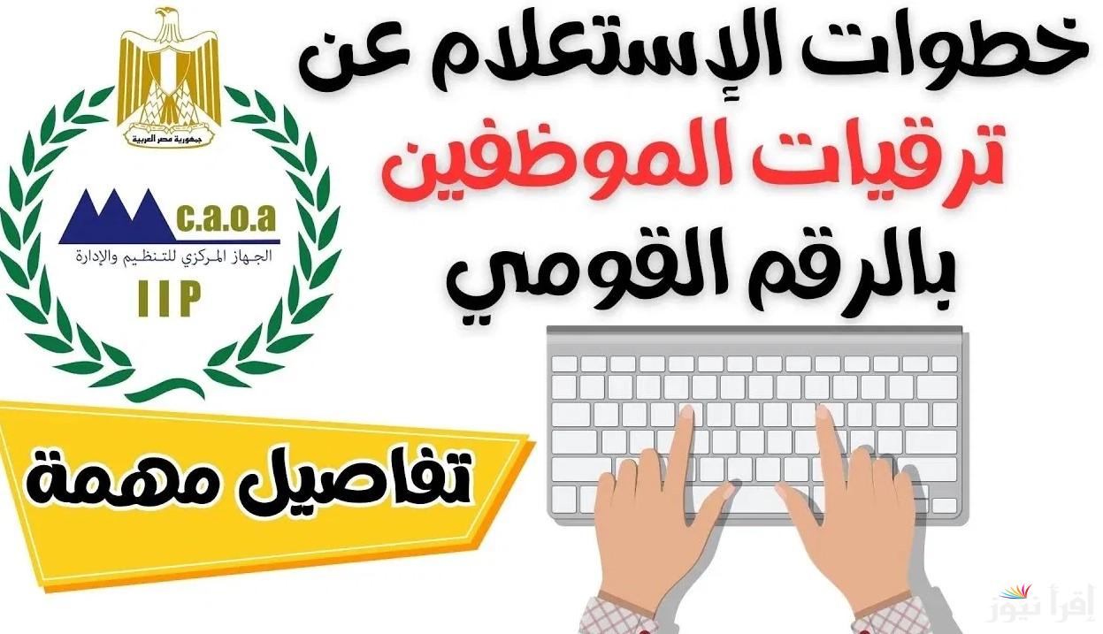 الاستعلام عن الترقيات بالرقم القومي 2024.. الرابط والخطوات عبر الجهاز المركزي للتنظيم والإدارة caoa.gov.eg