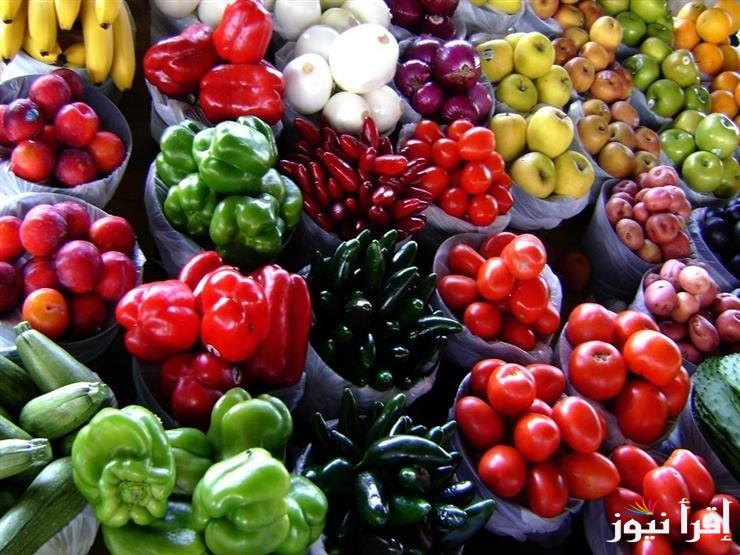أسعار الخضروات اليوم في سوق العبور الثلاثاء 22-10-2024 وداخل مختلف الأسواق التجارية للمستهلك