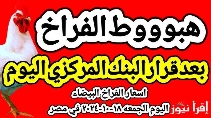 سعر الفراخ البيضاء اليوم الجمعة 18 اكتوبر 2024 للمستهلك والتاجر في البورصة والأسواق