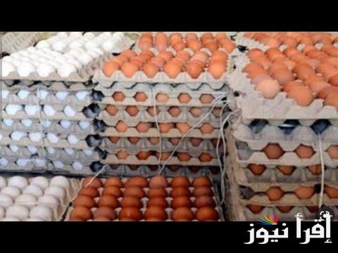 “الطبق بقا على كام” اسعار البيض اليوم الجمعه الموافق 2024/10/18 للمستهلك في المحال التجاريه والمزارع