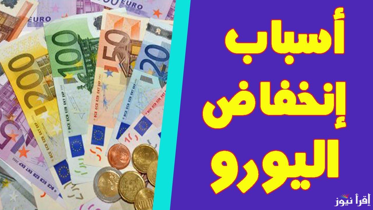 euro .. سعر اليورو اليوم الخميس 10 اكتوبر 2024 داخل جميع البنوك المصرية والسوق السوداء خلال تعاملات اليوم