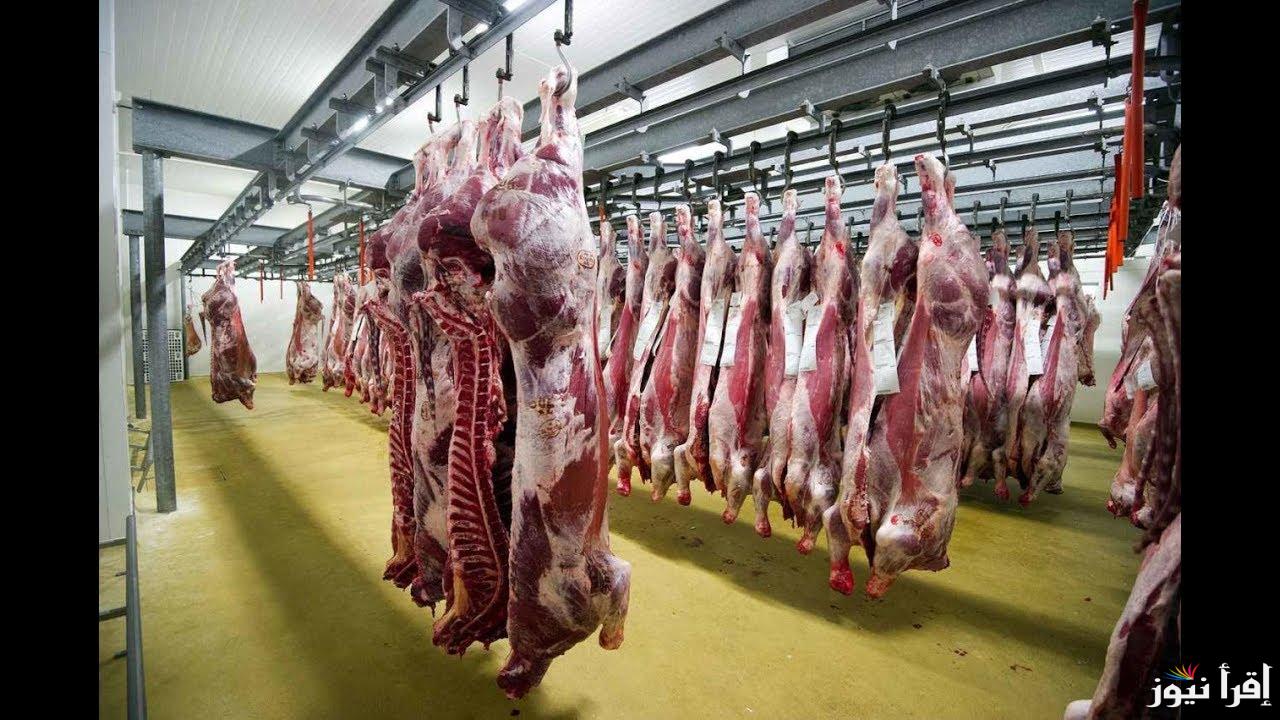 شعبة القصابين تعلن .. سعر كيلو اللحمة اليوم الاربعاء 23 اكتوبر 2024 واسعار اللحوم فى وزارة الزراعة ومنافذ الوطنية