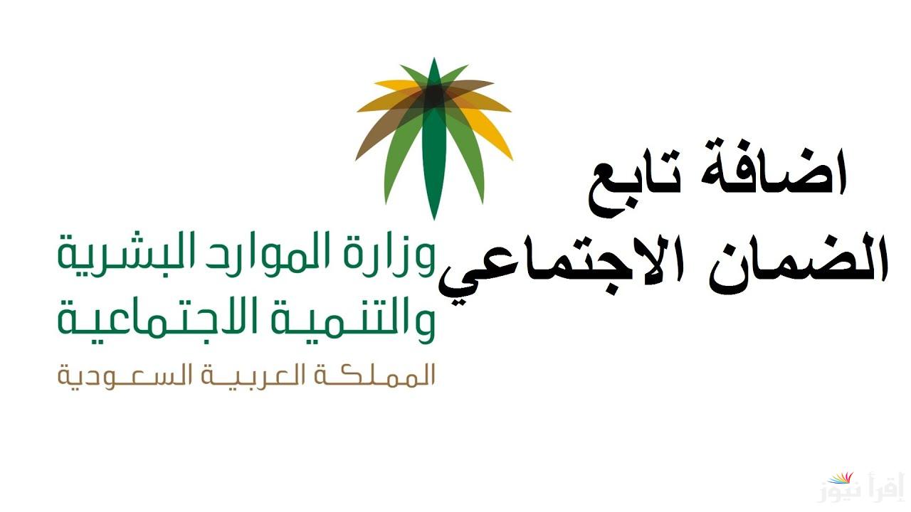 بدء العد التنازلي … موعد صرف الضمان الاجتماعي المطور لشهر ديسمبر 2024 وفقاً لبيان وزارة الموارد والتنمية البشرية