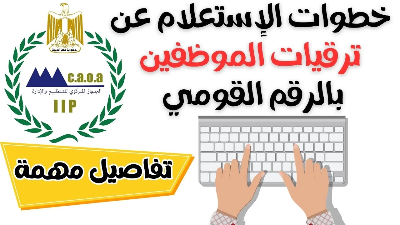 التنظيم والإدارة يعلن.. خطوات الاستعلام عن ترقيات الموظفين 2024 من خلال الرابط caoa.gov.eg