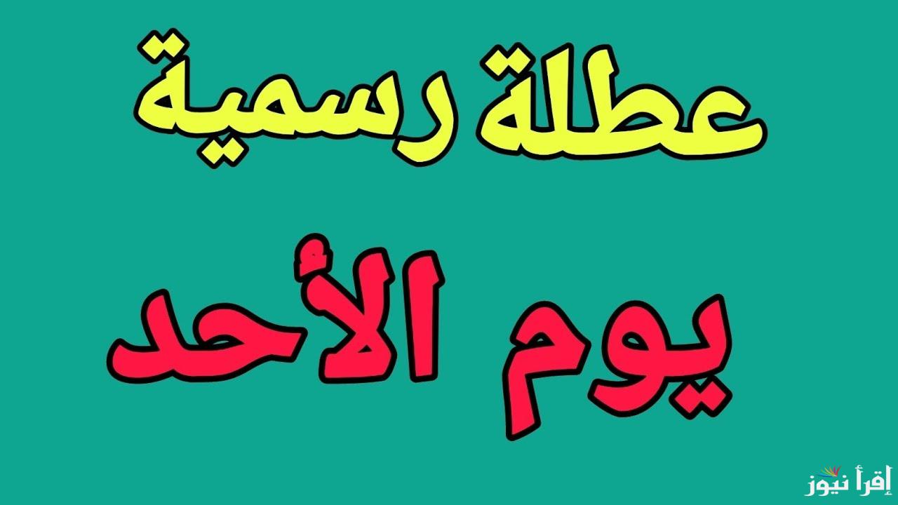 “عطلة عامة” عطلة رسمية يوم الاحد في العراق.. مجلس الوزراء العراقي يُوضح الحقيقة مع إعلان جدول العطلات لعام 2025