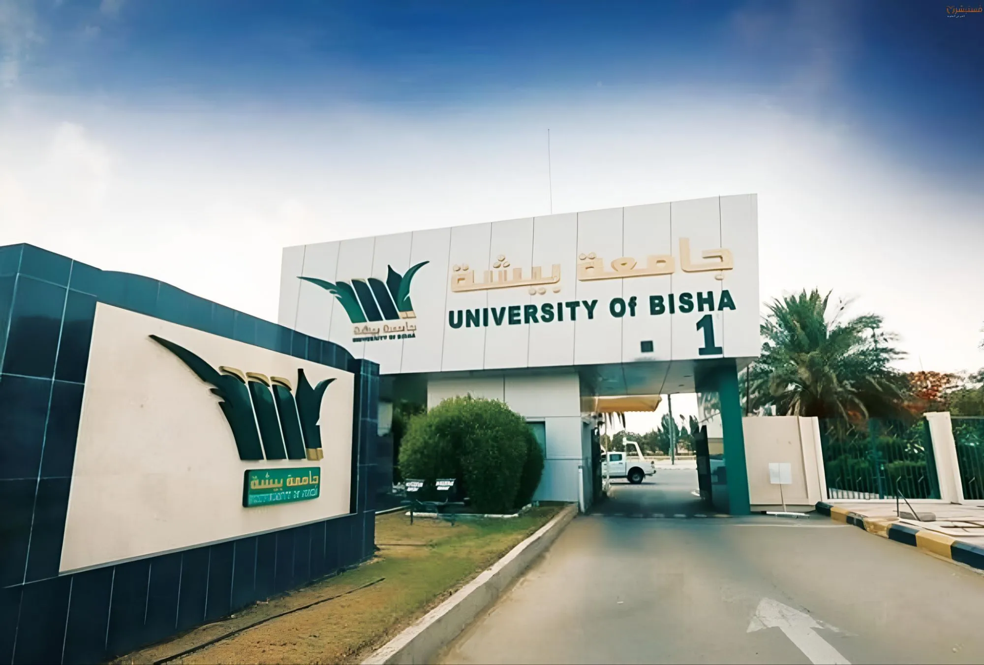 الوظائف الشاغرة في جامعة بيشة في السعودية.. ما هي المستندات المطلوبة للتقديم على وظائف الجامعة