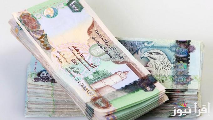 سعر الدرهم الاماراتي اليوم الثلاثاء 29 أكتوبر 2024 مقابل الجنية المصري في البنوك والسوق السوداء