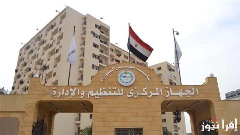 رابط الاستعلام عن ترقيات الموظفين بالرقم القومي 2024 .. استعلم عن ترقيتك عبر caoa.gov.eg وتعرف على الحد الأدنى للأجور