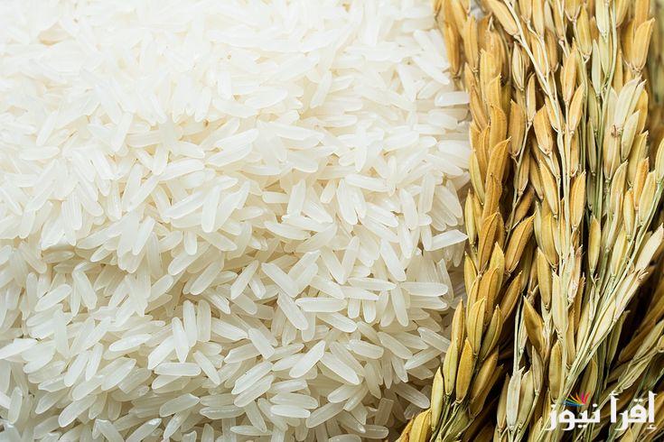 سعر طن الأرز الشعير اليوم الخميس الموافق 24 أكتوبر 2024 داخل المحال التجارية .. طن الشعير بكم؟