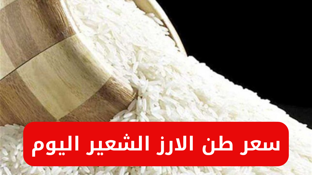 سعر طن الأرز الشعير اليوم الخميس 31-10-2024 وفقا لما أعلن نقيب الفلاحين