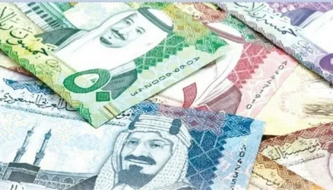 سعر الريال السعودي مقابل الجنيه المصري في السوق السوداء والبنوك المصرية بتعاملات الاحد 3-11-2024