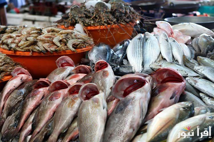 تحديث لحظى.. اسعار السمك اليوم الأحد 3 نوفمبر 2024 وأسعار المأكولات البحرية بجميع أنواعها المختلفة