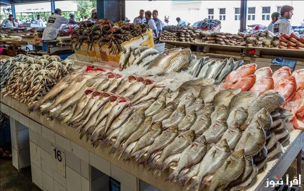 اسعار السمك اليوم الخميس 7 نوفمبر 2024 للمستهلك في الأسواق والمحلات التجارية بمصر