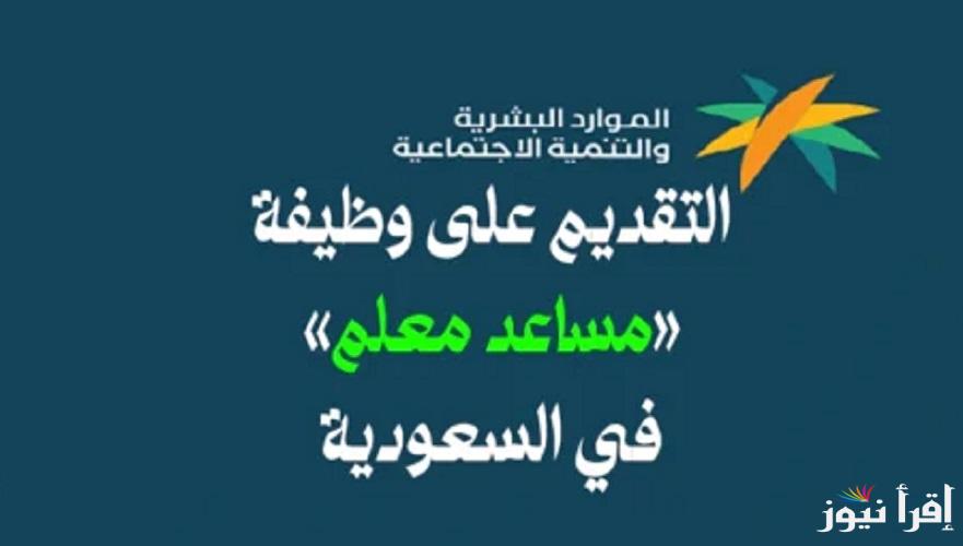 لخريجي الثانوية العامة .. كم راتب وظيفة مساعد معلم في السعودية ؟ تفاصيل وظائف المعلمين الجُدد حسب وزارة الموارد البشرية