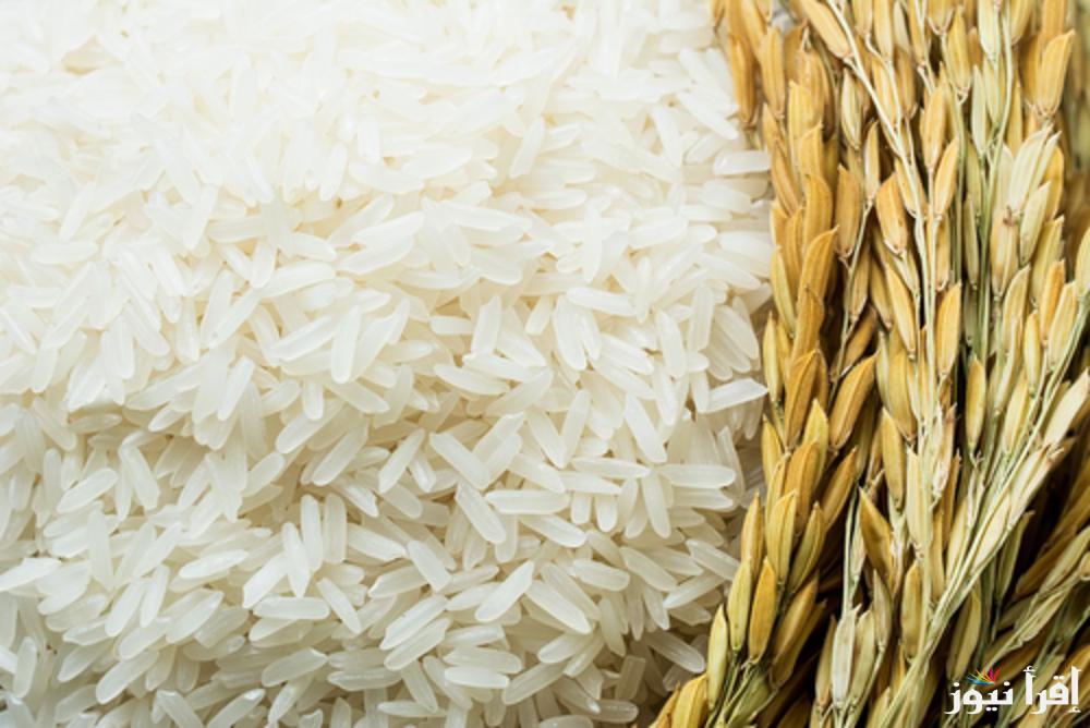 ” الطن بـ 14 ألف ” سعر طن الأرز الشعير اليوم السبت 30نوفمبر 2024 في الأسواق المصرية