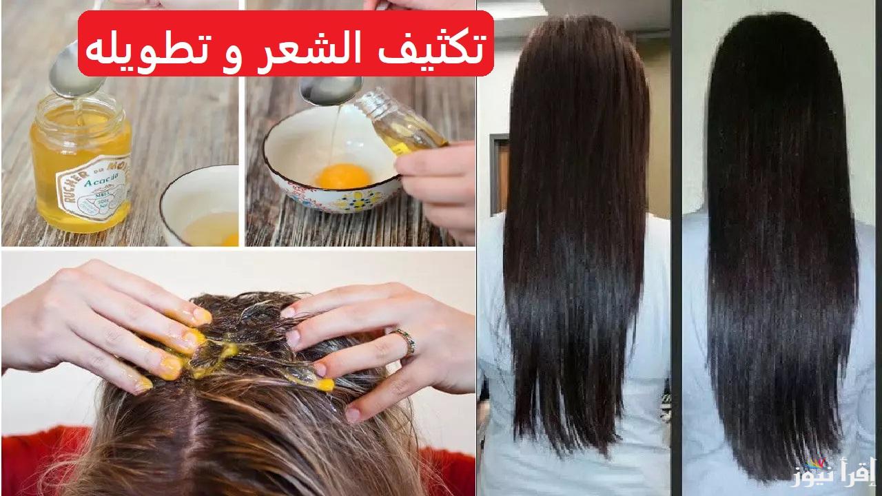 وداعا لتساقط الشعر وأهلاً بشعر الهنود .. وصفات طبيعية لمنع تساقط الشعر وتكثيفة بنتائج مذهلة