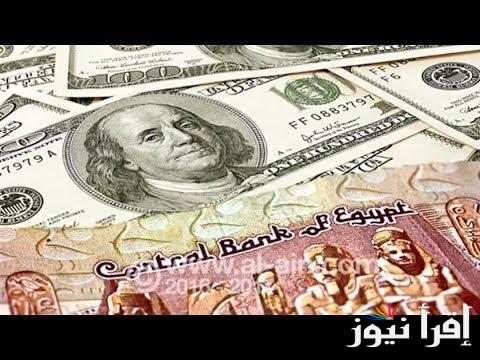 بكام الان؟ .. سعر الدولار اليوم في الصرافة الاثنين 9 ديسمبر 2024 مقابل الجنية المصري