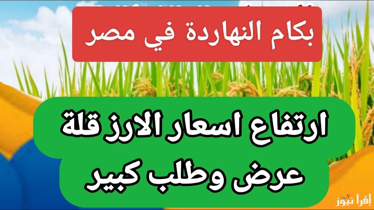 اشتري وخزني قبل رمضان.. سعر طن الأرز الشعير اليوم الأحد 29 ديسمبر 2024