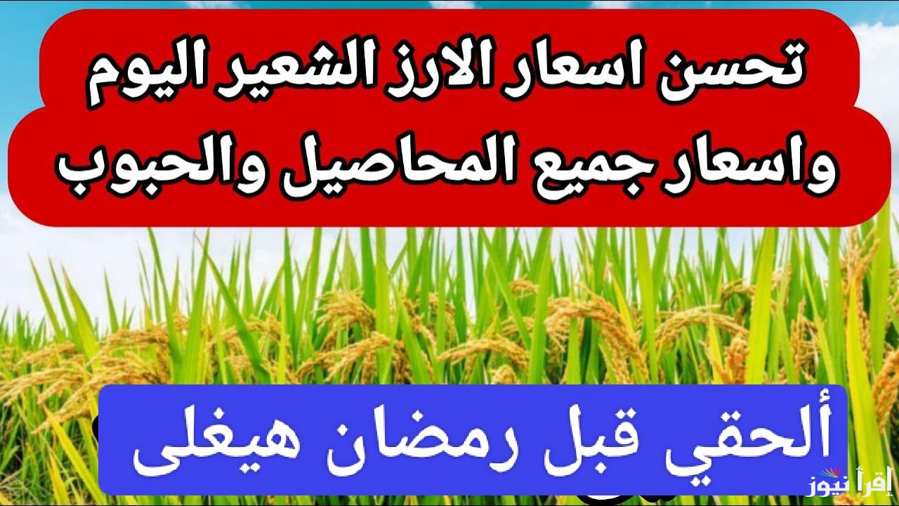 الآن.. سعر طن الأرز الشعير اليوم الرفيع وعريض الحبة في مصر 2024