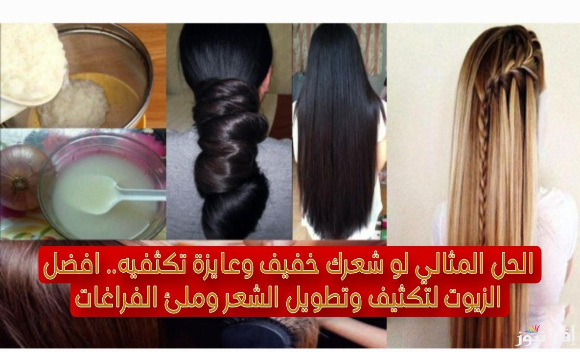 الحل المثالي لو شعرك خفيف وعايزة تكثفيه.. افضل الزيوت لتكثيف وتطويل الشعر وملئ الفراغات