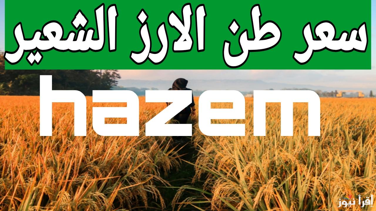 بكام دلوقتي.. انخفاض سعر طن الارز الشعير اليوم في مصر 2024