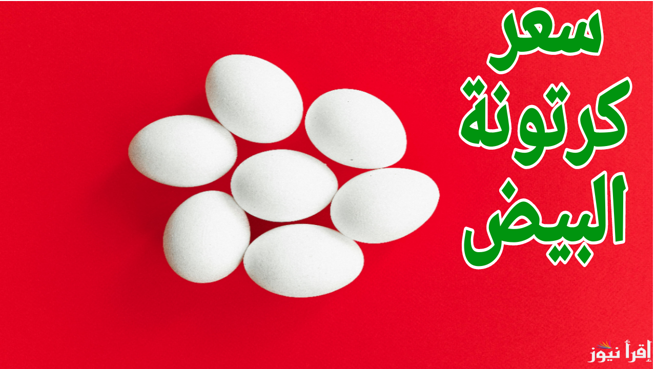الأحمر والأبيض بكام.. سعر كرتونة البيض اليوم الأحمر الإثنين 30 ديسمبر 2024 في مصر