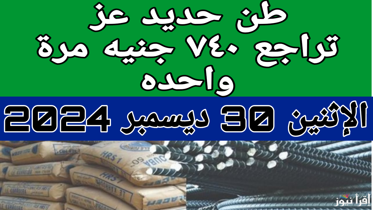 حديد عز تراجع 724 جنيه.. سعر طن الحديد والاسمنت اليوم الإثنين 30 ديسمبر 2024 في مصر