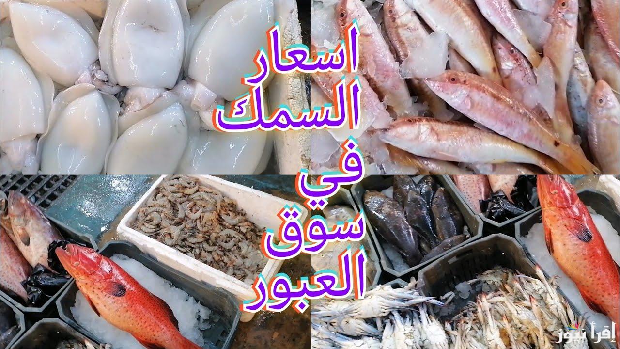 الجمبري والبلطي اسعارهم طارت.. تعرف على اسعار السمك اليوم الإربعاء 11 ديسمبر في الأسواق المصرية