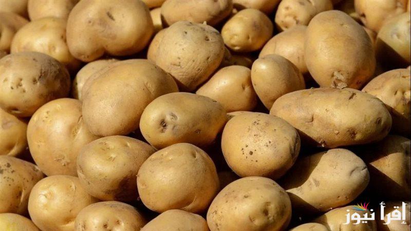 الكيلو وصل كام ؟.. أسعار البطاطس الآن والخضروات اليوم السبت 7 ديسمبر 2024 في سوق العبور