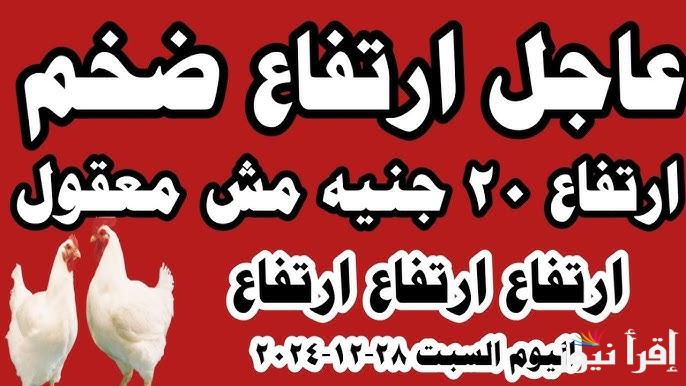 قفزه غير مسبوقه بأسعار الدواجن اليوم السبت 28 ديسمبر 2024 في بورصة الدواجن