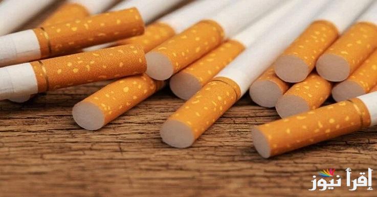 “علبة التبغ وصلت كام” أسعار السجائر الجديدة 2024 المحلي والمستورد بعد اخر زيادة