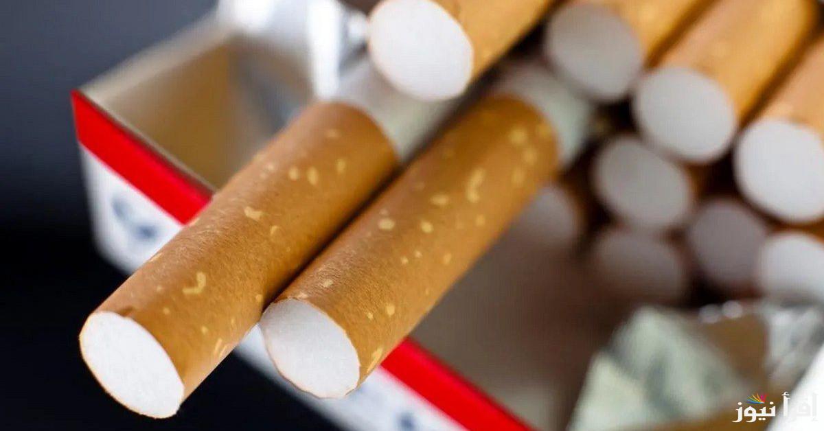 العلبة بقت بكام؟.. أسعار السجائر الجديدة 2024 المحلية والمستوردة داخل جميع الأسواق