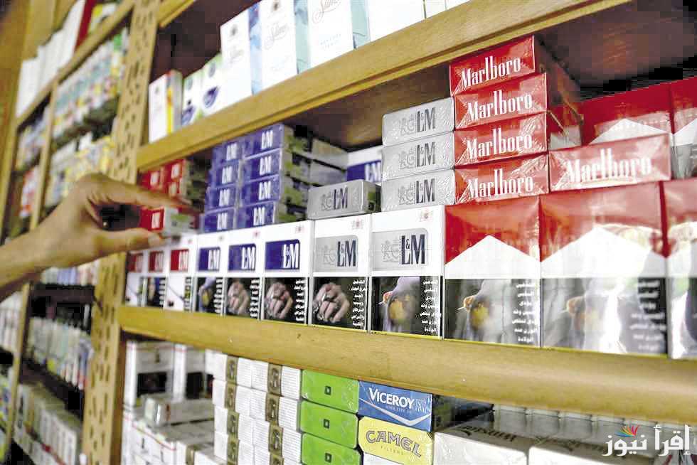 بـ 80 ج : أسعار السجائر اليوم .. إستقرار أسعار الشراء من منافذ البيع
