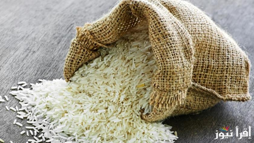 الكيلو وصل كام؟ سعر طن الأرز الشعير اليوم الجمعة 13 ديسمبر 2024 وأسعار السلع الغذائية