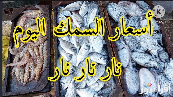 “كيلو البلطي بــ 68 جنيه” أسعار السمك اليوم الاحد 29 ديسمبر 2024 للمستهلك بمختلف انواعه دنيس وبلطي وجمبري