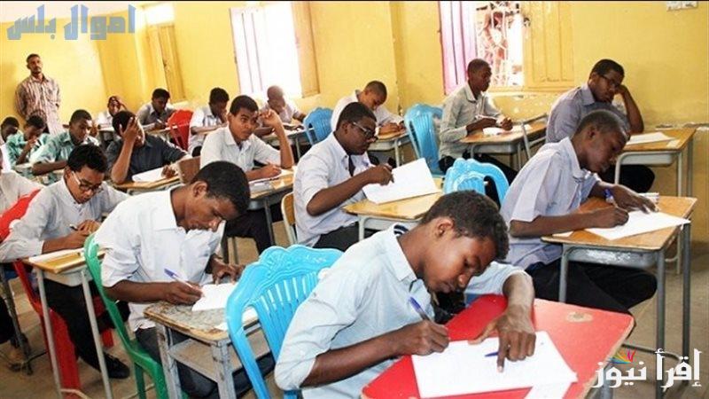 طريقة استخراج أرقام جلوس الشهادة السودانية 2024/2025 عبر موقع وزارة التربية والتعليم السودانية mohe.gov.sd