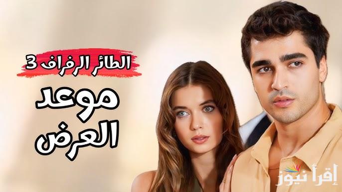 هل ستدوم السعادة طويلا ؟اعلان مسلسل طائر الرفراف الحلقة 86 ومواعيد عرضه علي القنوات