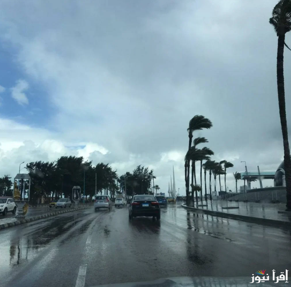 الأرصاد الجوية تٌفجر مفاجئة حالة الطقس غداً الاربعاء 11-12-2024 في كافة المحافظات المصرية