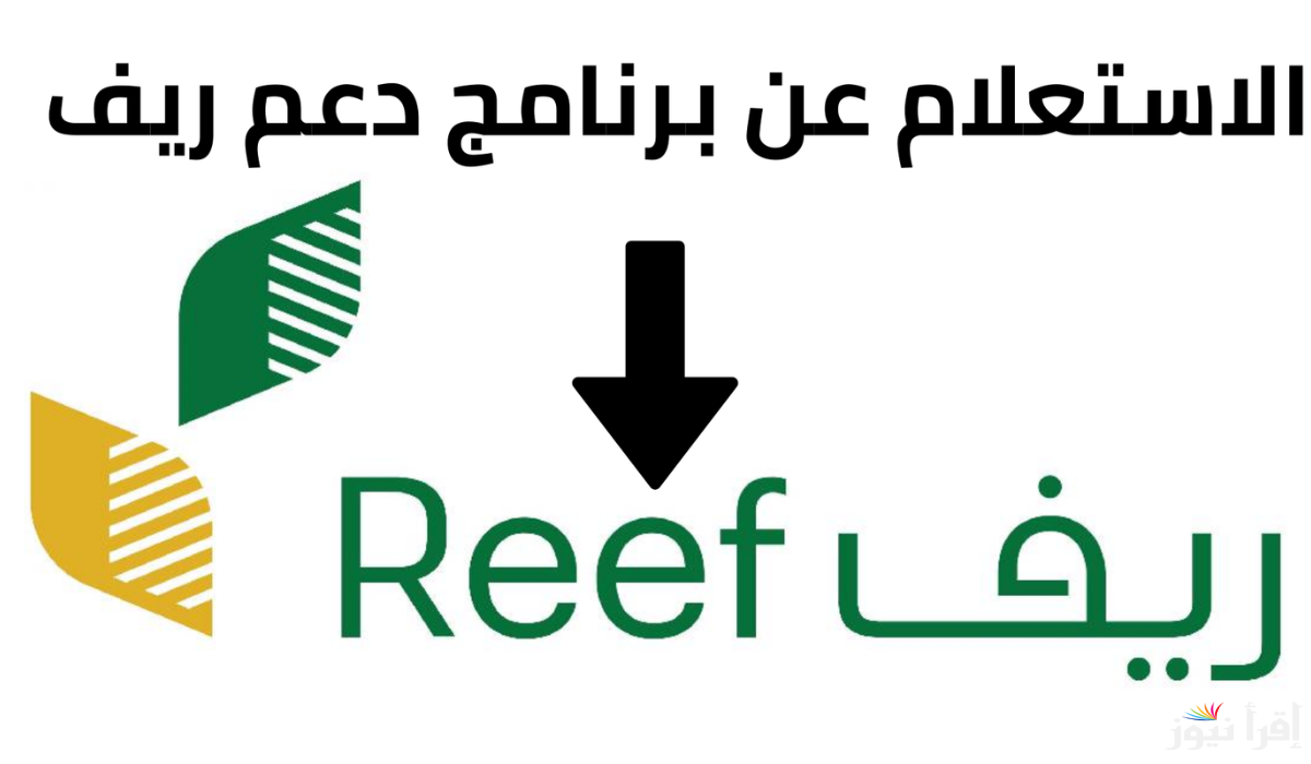 احصل على الدعم بسهولة … ما هي خطوات الاستعلام عن أهلية دعم الريف 2025 / 1446