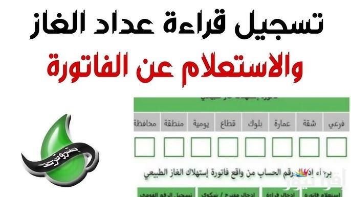 استعلم وادفع أون لاين| الاستعلام عن قراءة عداد الغاز شركة بتروتريد لشهر يناير 2025 من خلال petrotrade.com.eg