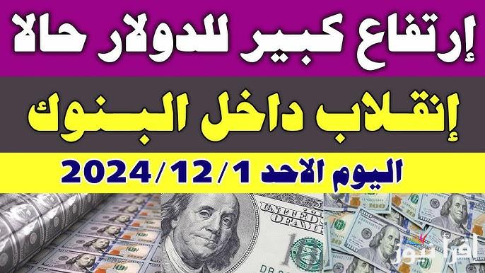 رسمياً .. الان سعر الدولار اليوم مقابل الجنيه المصري الأحد 1 ديسمبر 2024 وأسعار صرف العملات الأجنبية