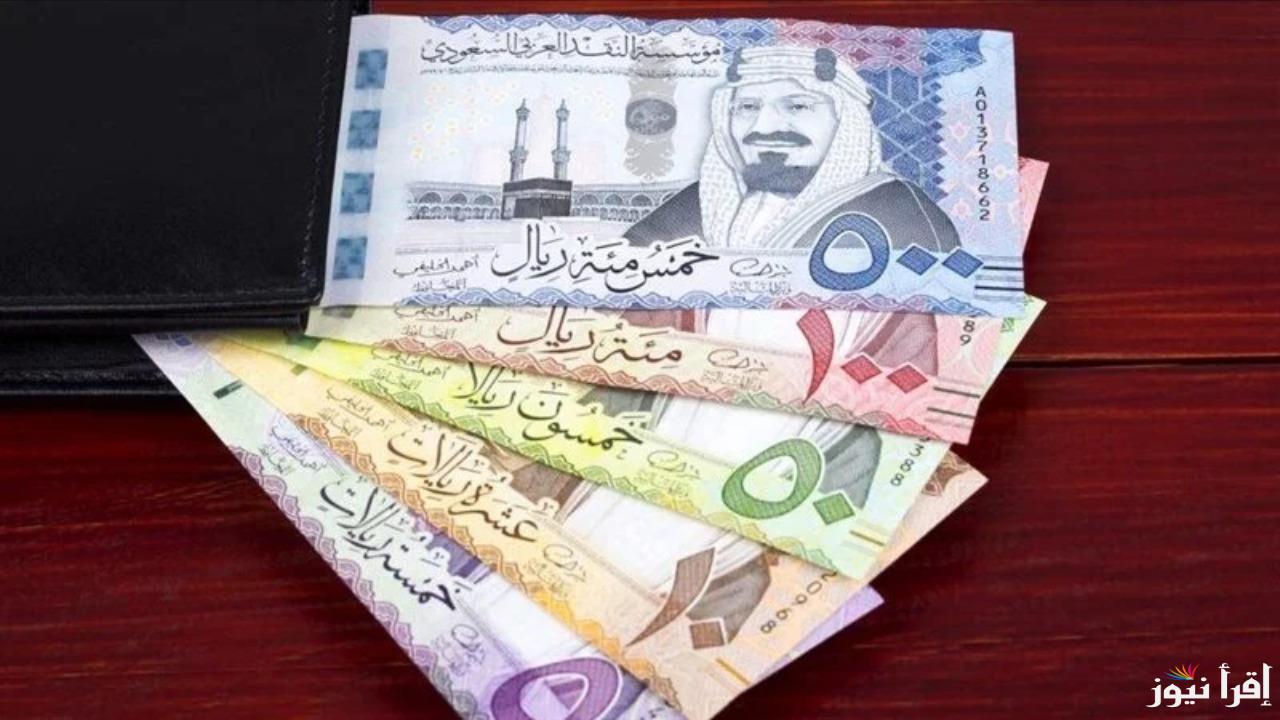 هتفك بكام؟.. سعر الريال السعودى أمام الجنيه المصري اليوم الأحد 15 ديسمبر 2024