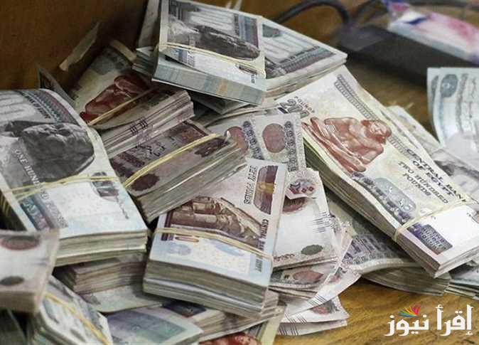 المالية تعلن موعد صرف مرتبات شهر يناير 2025 للموظفين بالقطاع العام .. وجدول الحد الأدنى