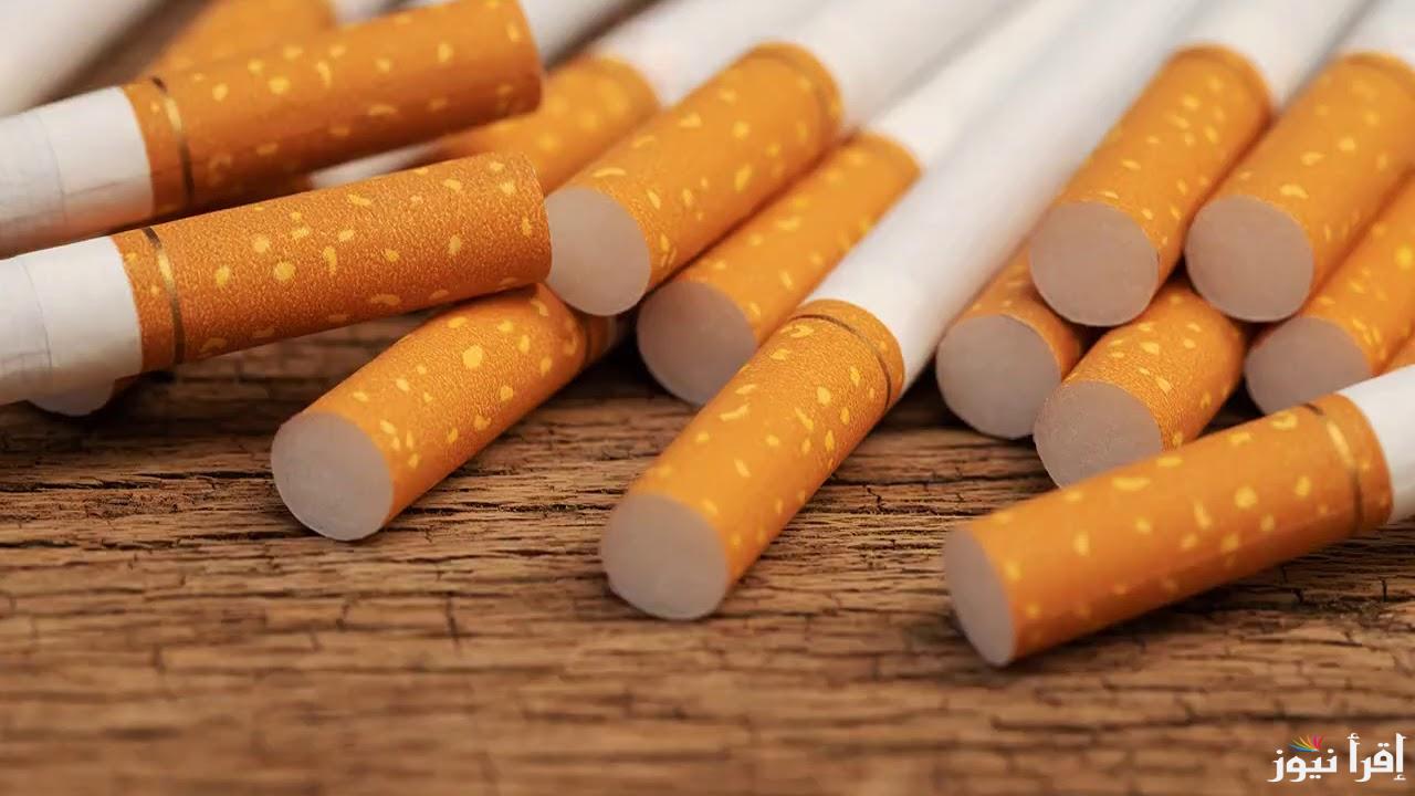 مارلبورو كرافتد.. المحلات والأكشاك تعلن أسعار السجائر اليوم الاثنين 23 ديسمبر 2024 طبقا لتصريحات الشرقية للدخان