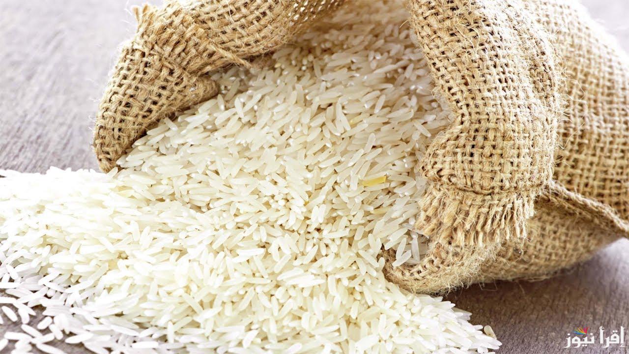بكام سعر طن الأرز الشعير اليوم الثلاثاء 10 ديسمبر 2024 في كافة الأسواق المحلية