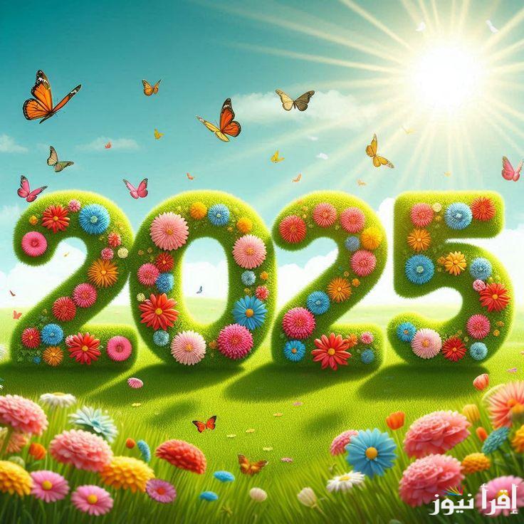 أجمل .. بوستات تهنئة رأس السنة 2025 وكلمات معبرة لاحتفالات العام الجديد “ربنا يجعل السنة دي بداية لكل حاجة حلوة كنت مستنيها”