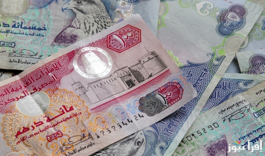 “ارتفاع طفيف” تحويل 1000 درهم إماراتي كم جنيه مصري سوق سوداء؟ سعر الدرهم الاماراتي اليوم السبت 7/ 12 / 20224 في البنوك المصرفية وفي السوق الغير رسمية