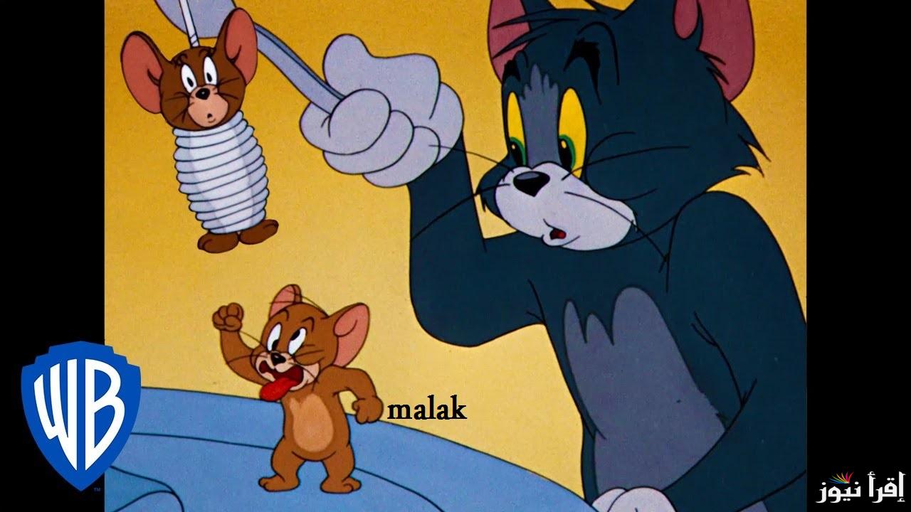 “Tom and Jerry” تردد قناة توم وجيري الجديد 2025 على نايل سات المحتوى الأفضل لكل الأطفال